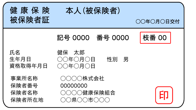 被保険者の保険証見本